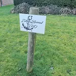 Zweite Heimat In Spo Böhl